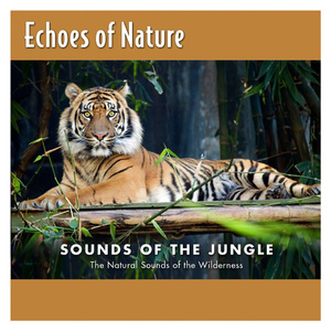 猛男虐🐔巴免费视频
